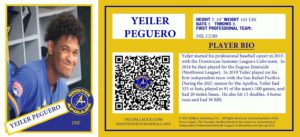 Yeiler Peguero NFT baseball trading card Houston Apollos 2021 independent professional minor league baseball team