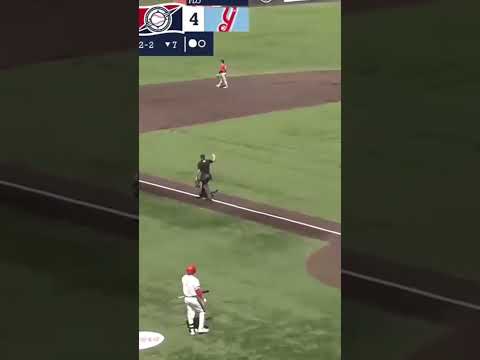 1 time, 2 time, 3 times a homer for Stephen Hrustich! Play of the Day May 18 #baseball