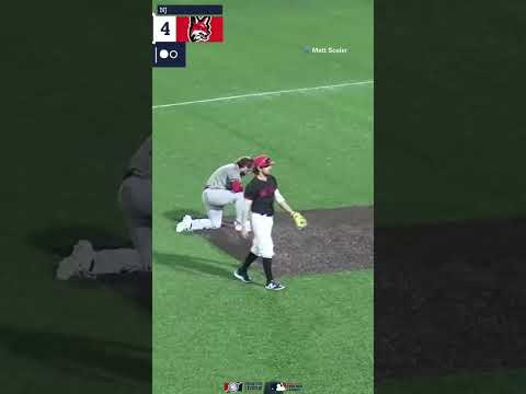 Joe Testa FROM HIS KNEES!!! Play of the Day May 30 #baseball #frontierleague #baseballhighlights