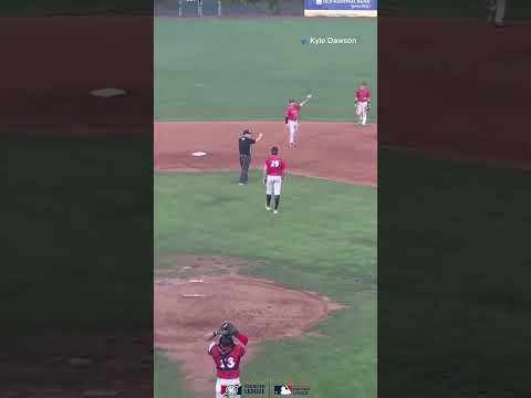 Kadon Morton takes a home run away! POTD June 8 #mlb #professionalsports #frontierleague #baseball