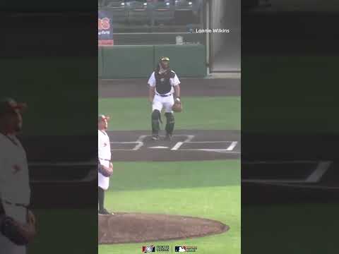 Dylan Goldstein with a slick snag in left field. POTD June 6 #baseballszn #mlb #sports #mlbsports
